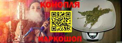 альфа пвп Севастополь