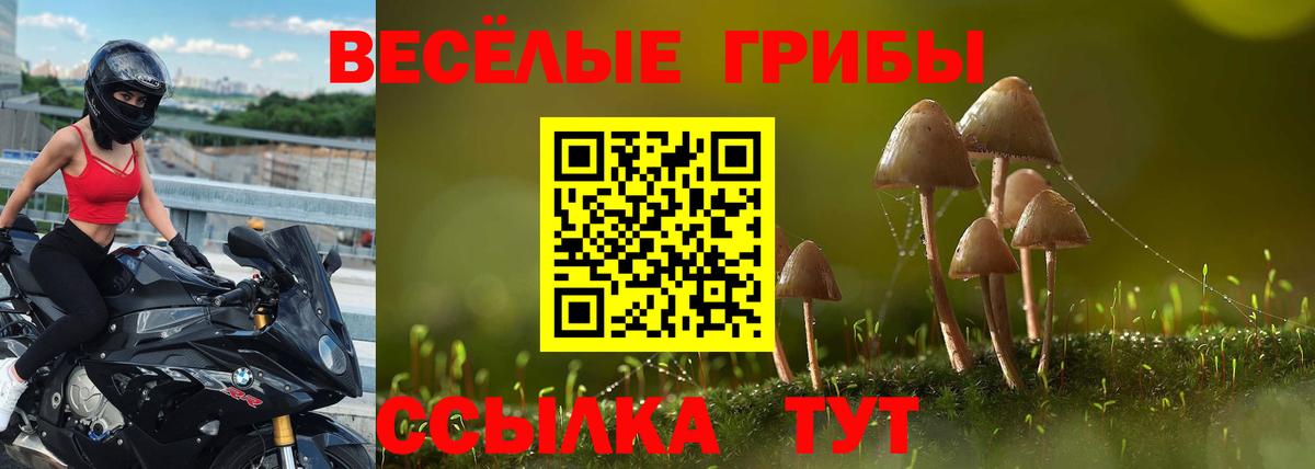 Галлюциногенные грибы мухоморы  Галлюциногенные грибы Psilocybe  как найти закладки  Вход с VPN  Пыть-Ях 
