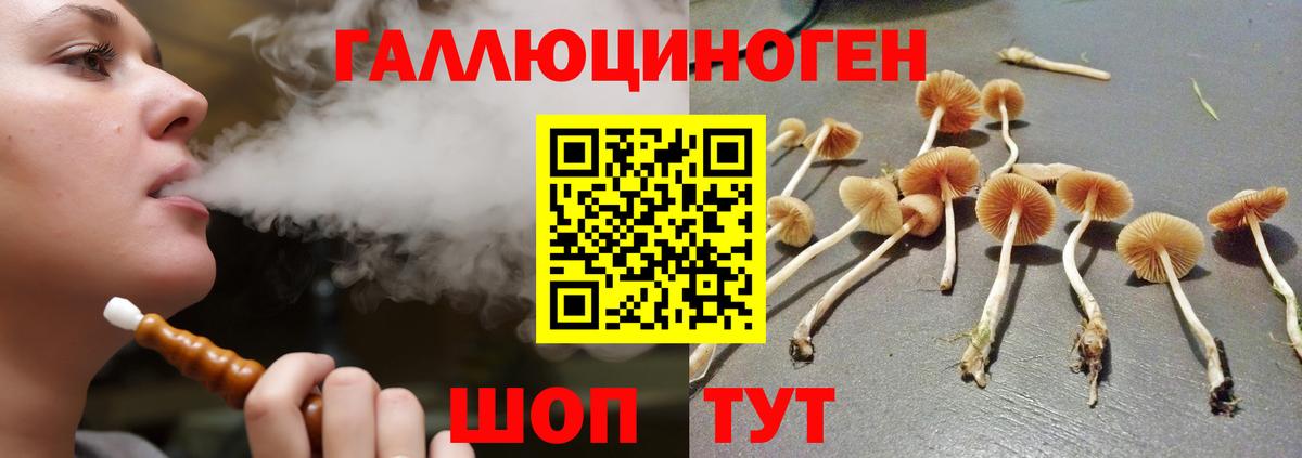 Галлюциногенные грибы мухоморы Пыть-Ях