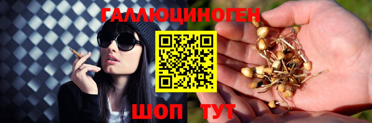 Конопля  КОКАИН  Вход с VPN  Мефедрон кристаллы  Пыть-Ях  Магазины продажи наркотиков  MDMA  ГАШ  Alpha-PVP СК   МЕФ 